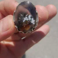 انگشتر شجر .خاص پسندان