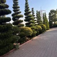 اجاره اپارتمان سعادت اباد ۱۴۰ متر سه خواب|اجارهٔ آپارتمان|تهران, شهرک بوعلی|دیوار