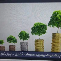 شریک کاری میشم