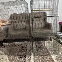 قفس|لوازم جانبی حیوانات|اسلام‌شهر, مظفریه|دیوار