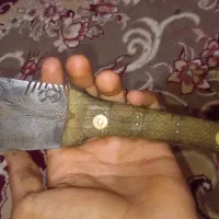 شوش جریه سید راضی