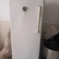 یخچال دوقلونگین