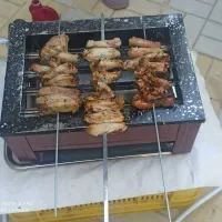 دو عدد کباب پز|اجاق گاز و لوازم برقی پخت‌وپز|الیگودرز, |دیوار