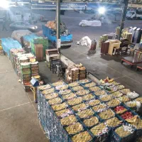 استخدام نویسنده میدان تره بار