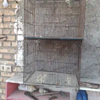 قفس|لوازم جانبی حیوانات|اهواز, حصیرآباد|دیوار