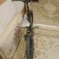 دوچرخه فروشی 20 سالم|دوچرخه، اسکیت، اسکوتر|قم, ولیعصر|دیوار