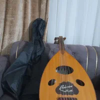 عود بحرینی در حد نو