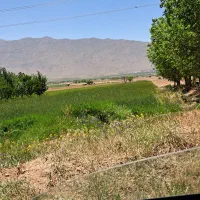 فروش زمین کشاورزی|فروش دفتر صنعتی، کشاورزی، تجاری|اراک, |دیوار