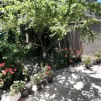 زنجان گردی باسوییت دربست نور در سلطانیه|اجارهٔ کوتاه‌مدت آپارتمان و سوئیت|تهران, الهیه|دیوار