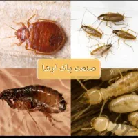 سمپاشی موریانه زدایی سم پاشی سوسک ساس|خدمات نظافت|بندر ماهشهر, |دیوار