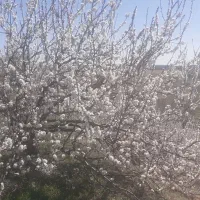 یک‌نفرخانم‌برای‌نظافتچی نیازمندیم