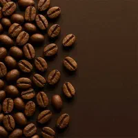 فروش انواع دان قهوهتک و میکس ۱۰۰ گ تا ۱۰۰ ک