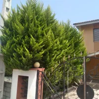 ساخت ماکت طبیعت