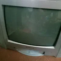 تلویزیون