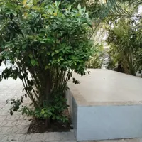 اجاره روزانه/هفتگی/ماهانه آپارتمان ۹۰ متری|اجارهٔ کوتاه‌مدت آپارتمان و سوئیت|طبس, |دیوار