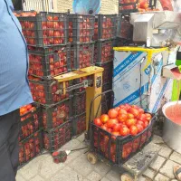 اب گیری گوجه و انگور،سیب وانار لیمو وسبزی خردکنی|خدمات پیشه و مهارت|همدان, |دیوار