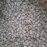 لوبیا چیتی عالی بوجاری شده