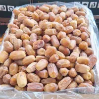 خرما زاهدی بار لوکس