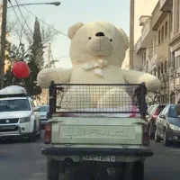 خرس ولنتاین