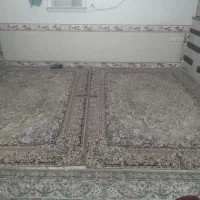 فرش  شش متری دو عدد