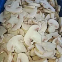 ویزیتور قارچ ماهر و حرفه ایی