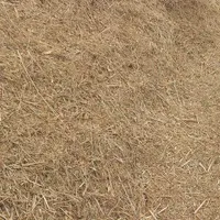 علف خورد شده