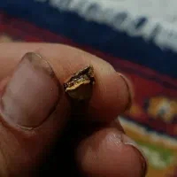 خاک طلا