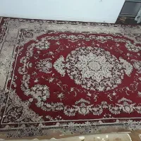 فرش نگین مشهد|فرش|زنجان, |دیوار
