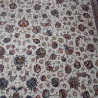 قالی ۹ متری|فرش|زاهدان, |دیوار