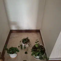 40 متر آپارتمان فروشی