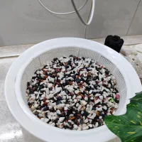 لوازم تزیینی آکواریوم|ماهی|تهران, وحیدیه|دیوار