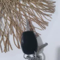 سیوچ پیدا شده