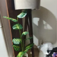 اباژور ایستاده