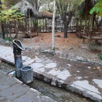 استخدام در رستوران