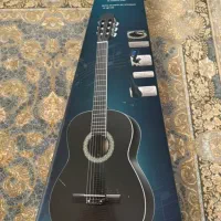 گیتار آلمانی اصل