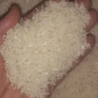 طارم هاشمی پارساله فریدونکنار خالص|خوردنی و آشامیدنی|قائم‌شهر, |دیوار