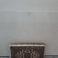محافظ صفحه تلویزیون