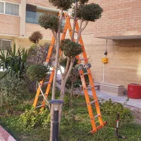 هرس کاری درختان سرو .لافسون .شمشاد باغ وویلا|خدمات باغبانی و درختکاری|مبارکه, |دیوار