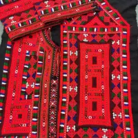 زیح پلیواری تارکش بزرگسال