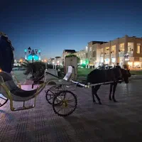 22 متر / طبقه اول روبه حیاط / نقش جهان تهران /سندی|فروش مغازه و غرفه|تهران, جوانمردان (اندیشه)|دیوار