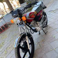 باسل در حد خشک