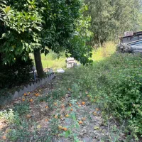 فروش زمین جهت ساخت آپارتمان خمام|فروش زمین و ملک کلنگی|رشت, فرزانه|دیوار