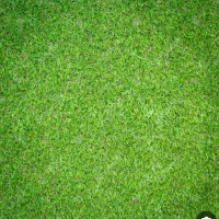 فروش چمن مصنوعی