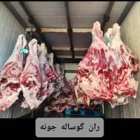 قصابی های هایپر تره بار شخصی