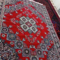 یک جفت فرش ماشینی|فرش|میاندوآب, |دیوار