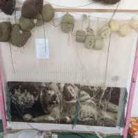 فرش کامپیوتری