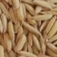 فروش چلت صدری درجه یک