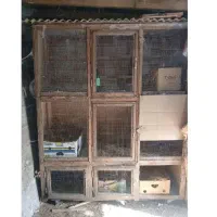 قفس چوبی یا لانه