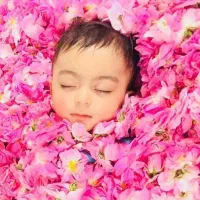 مراسم سنتی گل غلطان