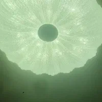 لوستر  سقفی